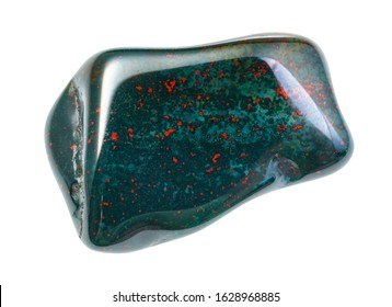 closeup of sample of natural mineral from geological collection - polished Bloodstone (heliotrope) gem isolated on white background