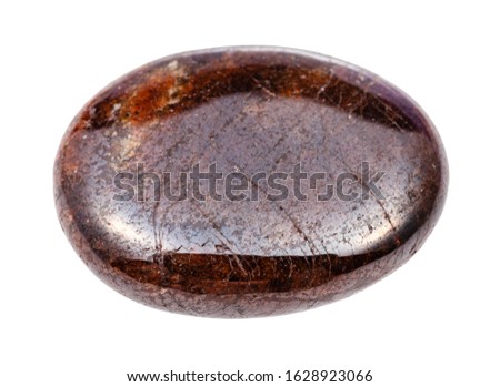closeup of sample of natural mineral from geological collection - polished Pyrope garnet gemstone isolated on white background