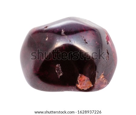 closeup of sample of natural mineral from geological collection - tumbled Almandine garnet gem stone isolated on white background