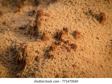 closeup of sand