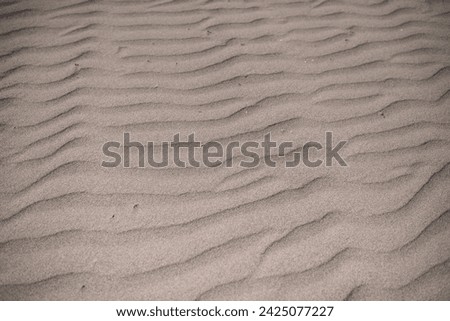 Close-up of sand in the desert, waves on the sand from the wind. No one. Dry, lifeless desert soil under the bright daytime sun