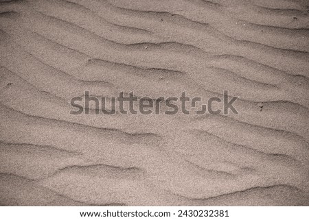 Close-up of sand in the desert, waves on the sand from the wind. No one. Dry, lifeless desert soil under the bright daytime sun