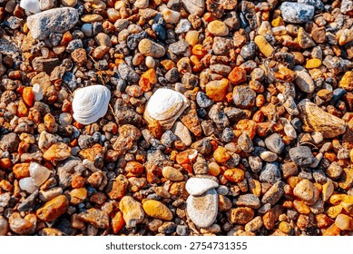 Close-up of a sandy beach featuring an array of colorful pebbles and seashells, highlighting diverse textures under bright sunlight.
