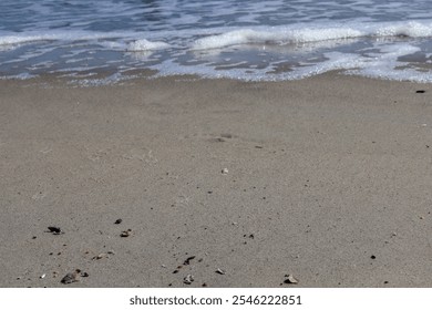 Close-up of a sandy beach with small scattered shells, as gentle ocean waves approach the shore, creating a peaceful and serene coastal scene. - Powered by Shutterstock