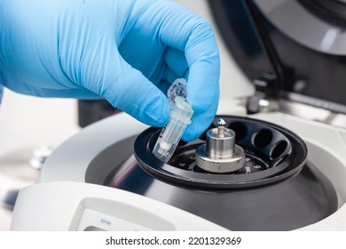 Closeup of a scientist hand placing a tube into an small table centrifuge. Spin column-based nucleic acid purification technique. Diagnosis of human papillomavirus virus infection.