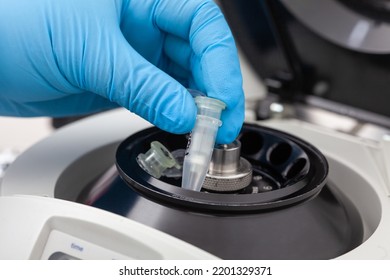 Closeup Of A Scientist Hand Placing A Tube Into An Small Table Centrifuge. Spin Column-based Nucleic Acid Purification Technique. Diagnosis Of Human Papillomavirus Virus Infection.