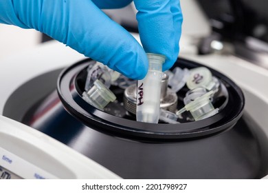 Closeup Of A Scientist Hand Placing A Tube Into An Small Table Centrifuge. Spin Column-based Nucleic Acid Purification Technique. Diagnosis Of Human Papillomavirus Virus Infection.