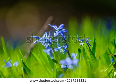 Similar – Image, Stock Photo shining blue Exterior shot