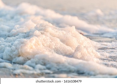 Closeup Of Sea Foam On Coast During Red Tide Algae Bloom Toxic Beach In Naples, Florida Gulf Of Mexico During Sunset On Sand