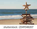 close-up of the sea star on top of a driftwood Christmas tree on the beach with the ocean in the background 