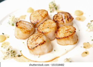 Closeup Of Seared Scallops