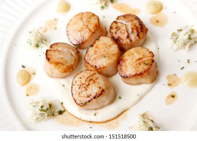 Closeup Of Seared Scallops