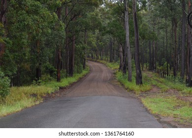 Closeup of a secluded wet sealed and unsealed rural road