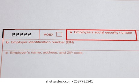 Close-up of sections of a document, including space for an employee's social security number, employer identification number, and employer information.