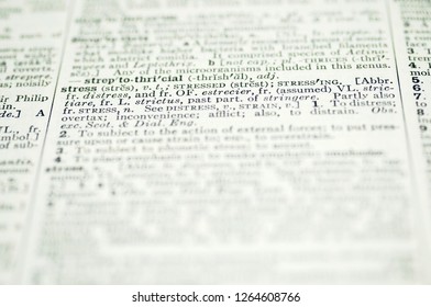 Webster Dictionary High Res Stock Images Shutterstock