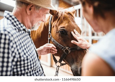 A Close-up Of Senior Couple Petting A Horse.