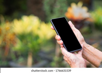 Close-up Of An Senior Woman Hands Holding A Mobile Phone While Standing In A Garden. Space For Text. Concept Of Old Peole And Technology