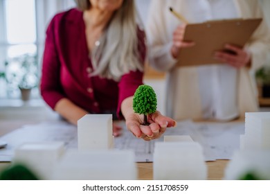 Close-up of senior women eco architects with model of modern bulidings and blueprints working together in office. - Powered by Shutterstock