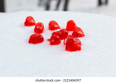 Closeup set of small bright red glass hearts on powdery snow of snowdrift at cold winter day in park forest, symbol of romantic love, St. Valentine's Day holiday concept, low angle shoot