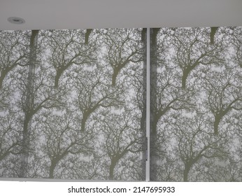 Close-up Of The Shadow Of A Branch On A Sheer Cloth See A Gray Shadow, Suitable For Background And Design Projects.