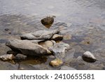 Close-up of shallow rocky lakebed in Jackson hole, Wyoming, United States