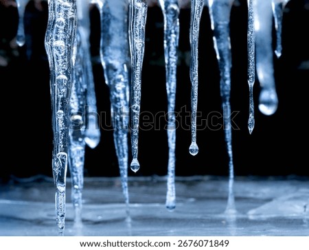 A closeup of sharp icicles with dripping water. Beautiful winter atmosphere.