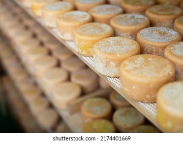 Closeup Of Shelf Stands With Abundance Of Heads Of Goat Cheese Arranged To Ripen In Special Cold Chamber On Cheese Factory