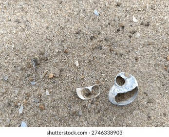 close-up of shells and river sand
