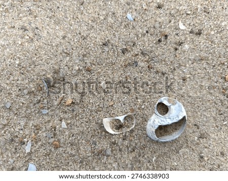 close-up of shells and river sand