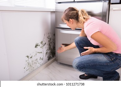 Close-up Of A Shocked Woman Looking At Mold On Wall