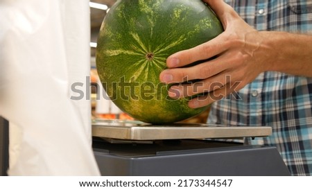 Close-up of shop scales and a man weighs a ripe watermelon