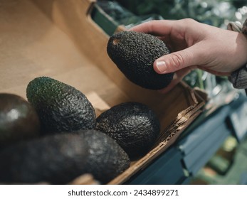 Close-up of a shopper's hand selecting a ripe avocado from a wooden crate in a grocery store, emphasizing healthy eating - Powered by Shutterstock