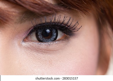 Close-up Shot Of Asian Woman Eye With Contact Lens Gray Colour