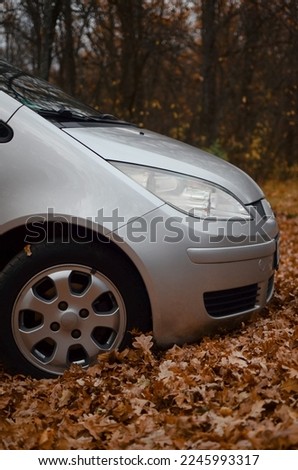 
a closeup shot of an autumn yellow car with snow and a shadow on it in the forest.Hood of the car.Gray car in autumn leaves. Wheels and lights.Autumn nature.Mitsubishi.
car rental.driving school