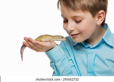 Closeup Shot Of Boy Holding Pet Lizard On His Hand. Isolated Over White Background.
