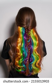 Close-up shot of a brown-haired girl with multicolored strands of hair. Colored clip in hair extensions. The woman in the black top with rainbow tresses is on a gray background. Back view.
