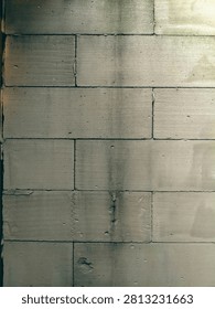close-up shot captures the raw, weathered texture of a lightweight concrete block wall. The image features clean rows of grey masonry bricks showing natural aging, vertical water stains, damp patches, and a touch of green moss at the top edge.