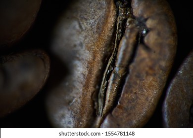 Closeup Shot Of Coffee Bean. Background, Texture