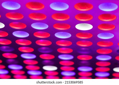 A Close-up Shot Of Colorful Glowing LED Lights In A Greenhouse For Plant Growth