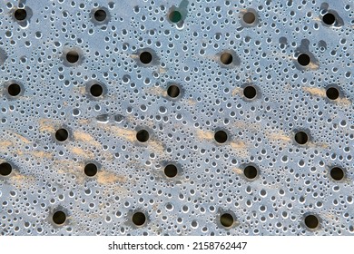 A Close-up Shot Of Condensation Of The Greenhouse 