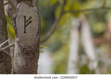 Close-up shot of a cut branch engraved with a letter from the runic alphabet, specifically the letter Fehu