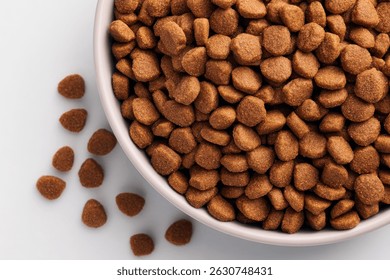 Un primer plano de comida para perros en un tazón blanco con algunas piezas derramadas sobre la superficie inferior.