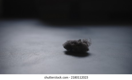 Closeup Shot Of Dust Ball On Concrete Floor