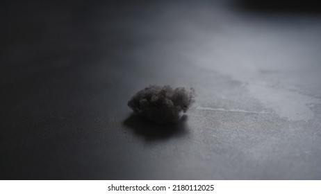 Closeup Shot Of Dust Ball On Concrete Floor