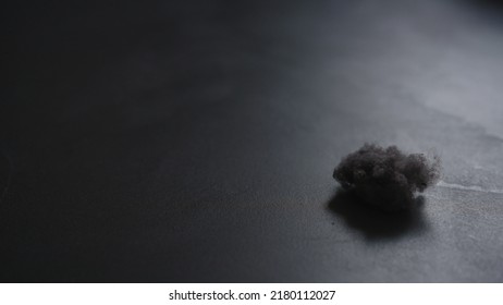 Closeup Shot Of Dust Ball On Concrete Floor