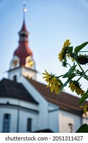 A Closeup Shot Of Dwarf Sunflowers With A Church In The Background