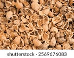 A close-up shot of empty shells of walnuts and nuts scattered on a table