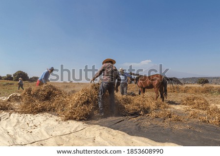 Similar – Foto Bild Landwirtschaftliche Felder in einem Dorf in Spanien.