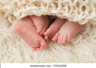 A Closeup Shot Of The Feet Of Twin Boy And Girl Babies. Shot In The Studio On A Sheepskin Rug.