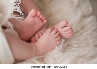 A Closeup Shot Of The Feet Of Twin Girl Babies. Shot In The Studio On A Sheepskin Rug.